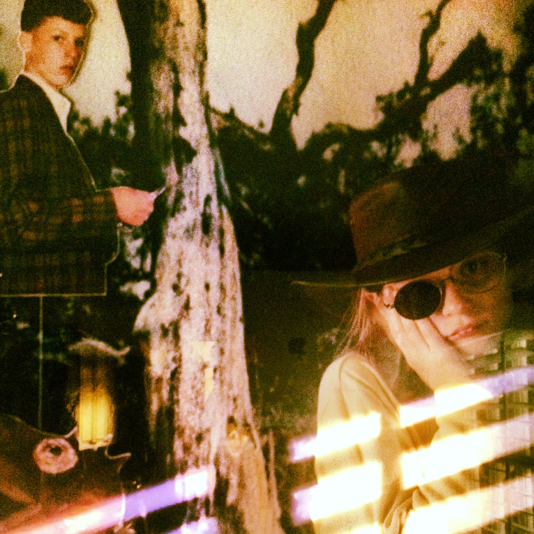 blind light on polaroid