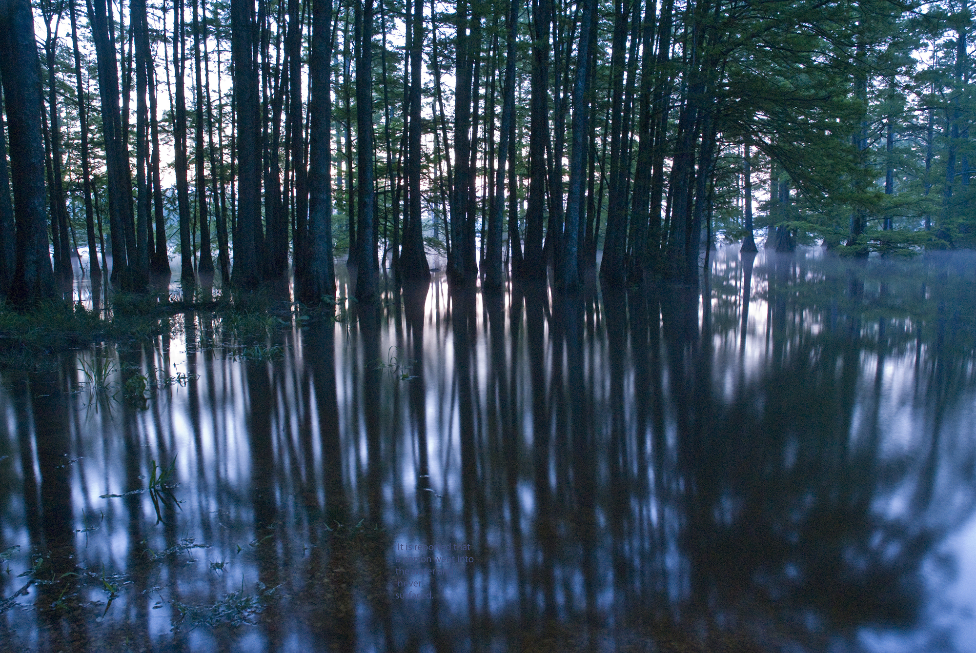Surface