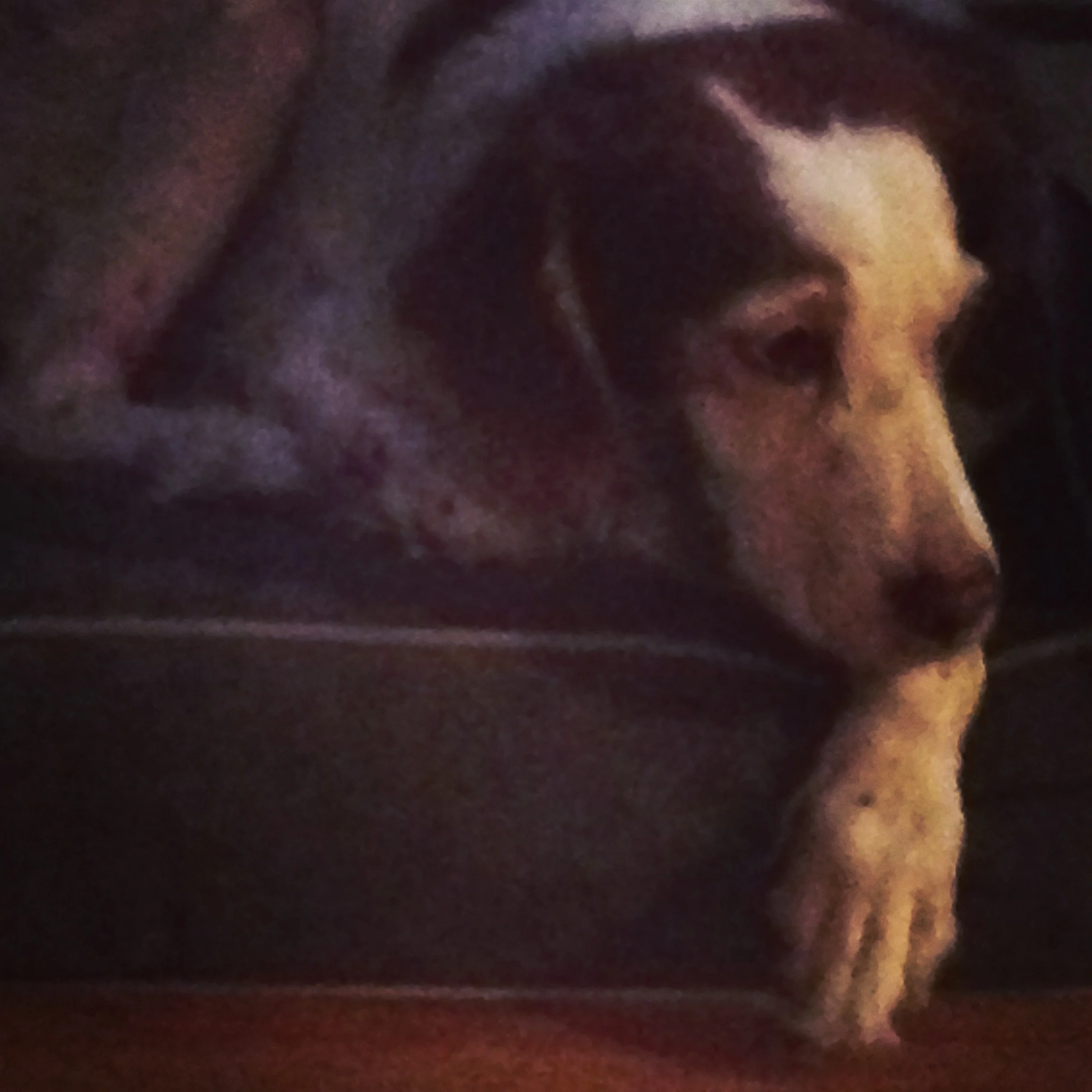 2013-11-03 22.14.31.jpg