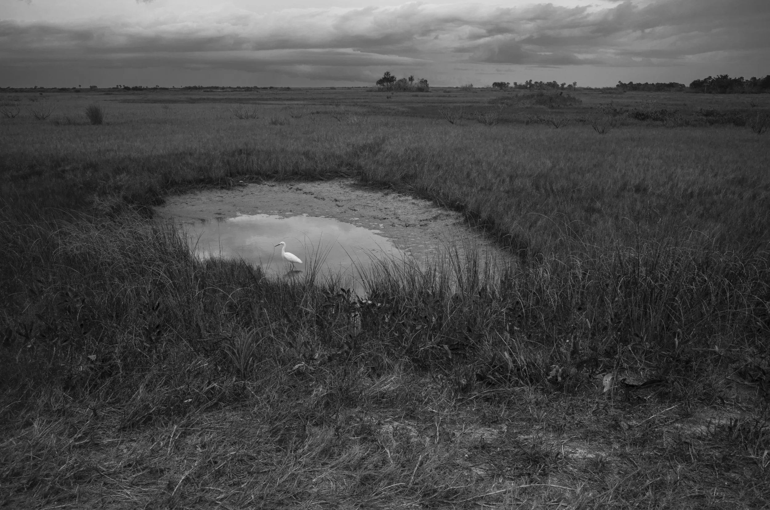 Marita.04.21-Landscapes.jpg