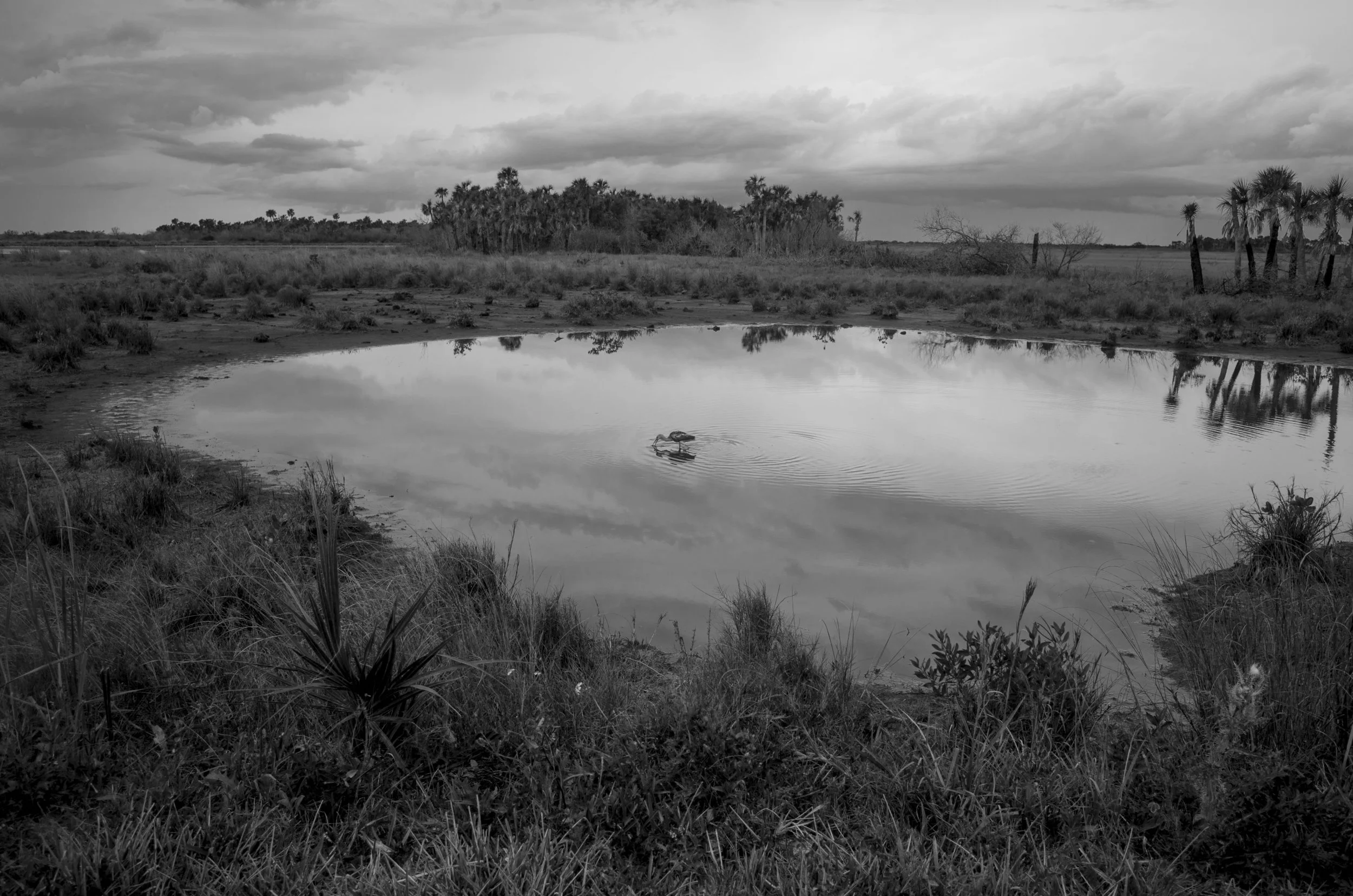 Marita.12.53-Landscapes.jpg