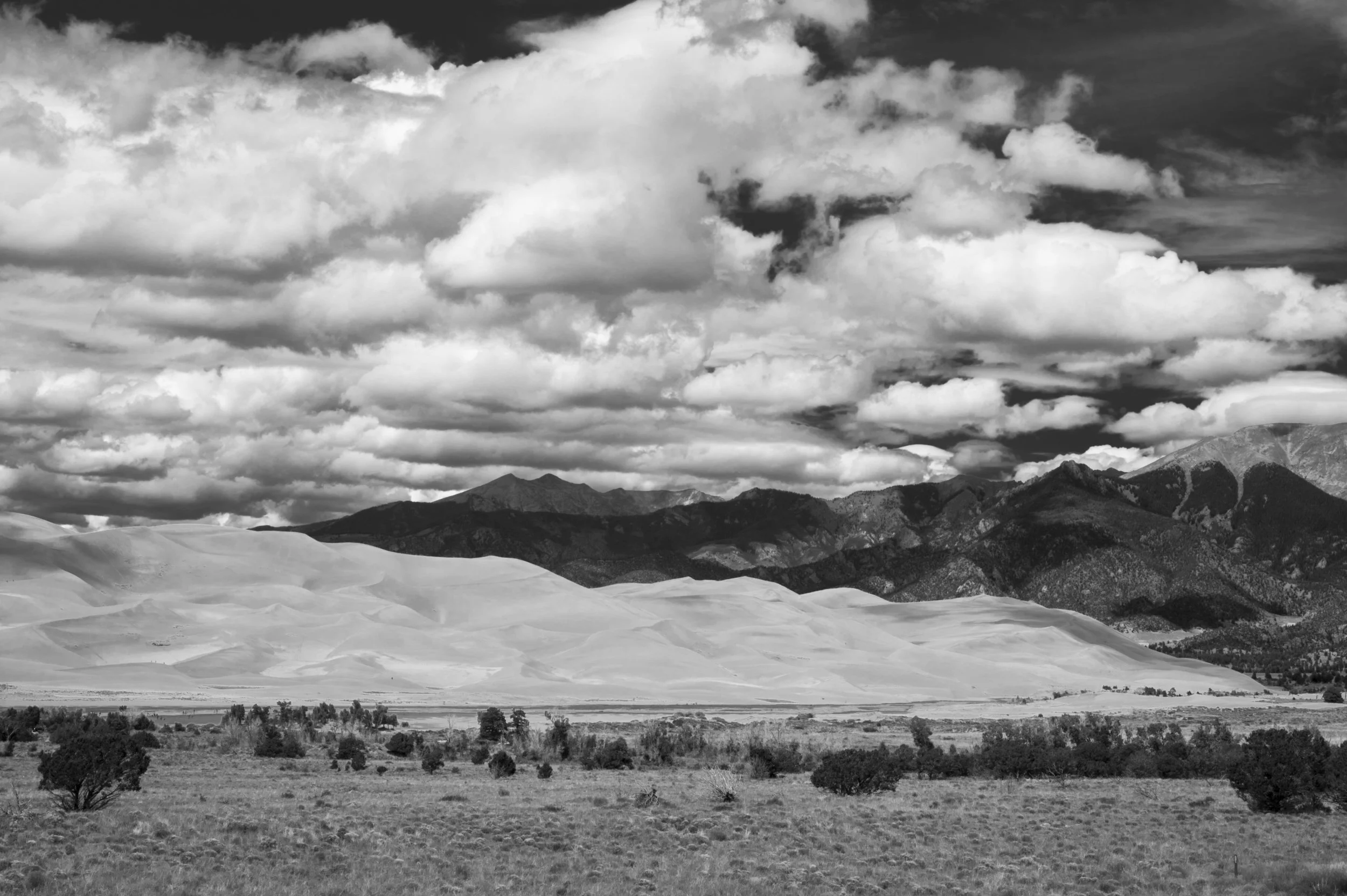 Marita.20.03-Landscapes.jpg