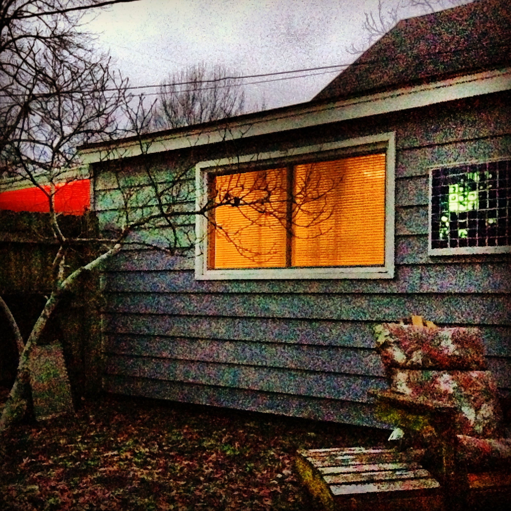 2013-01-12 17.35.41.jpg