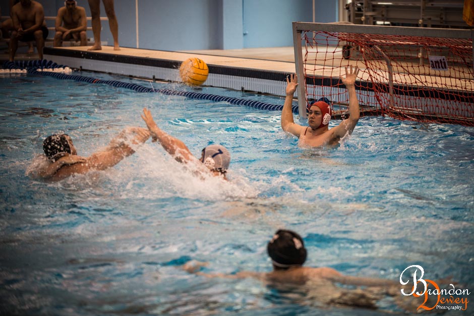 Water_polo-4.jpg