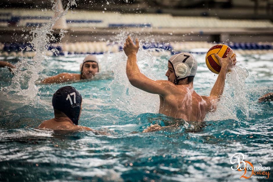 waterpolo-5.jpg