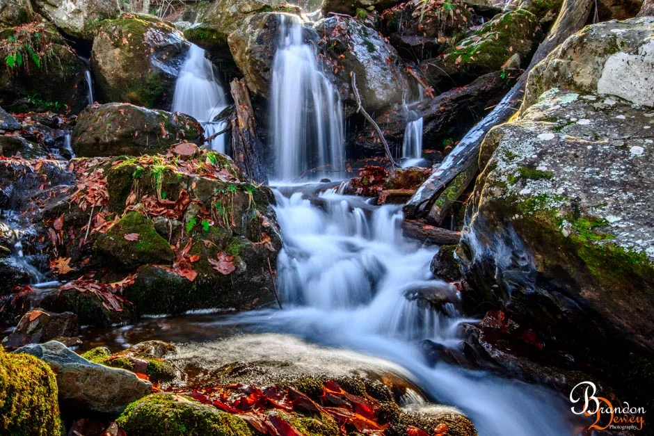 Dark Hollow Falls, Shenandoah, VA.