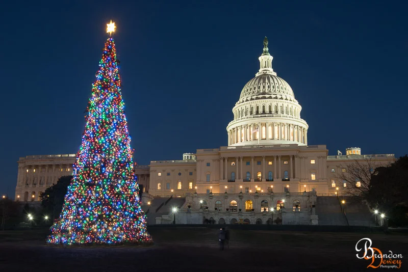 The Capital, Washington D.C. Link to Photo