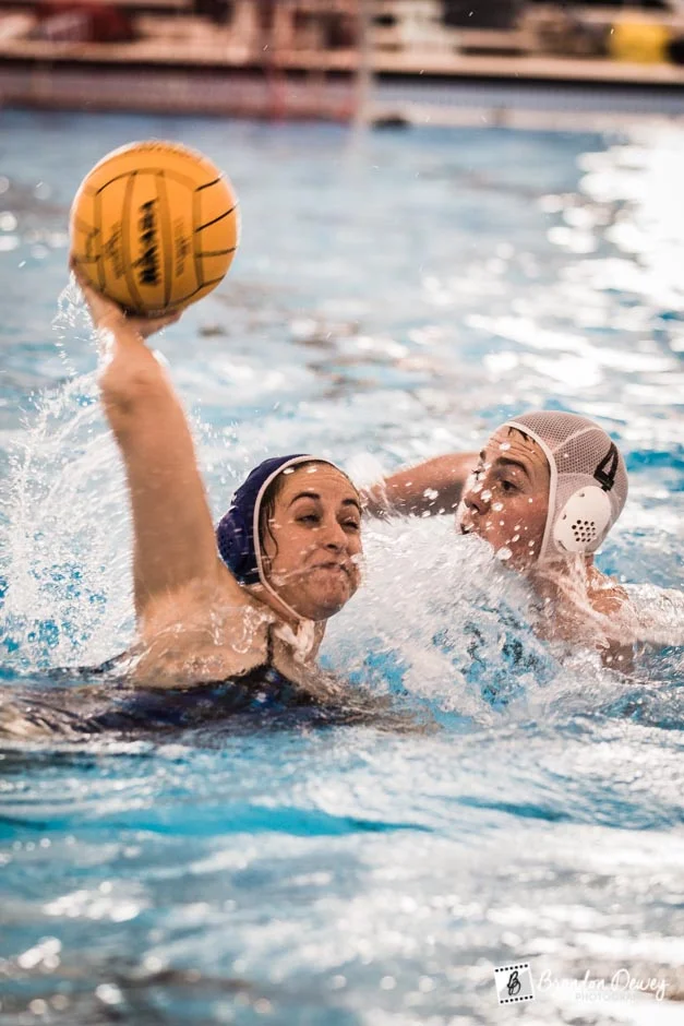 Wetskins v. Arlington