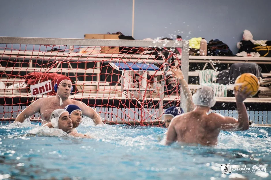 Wetskins v. Arlington