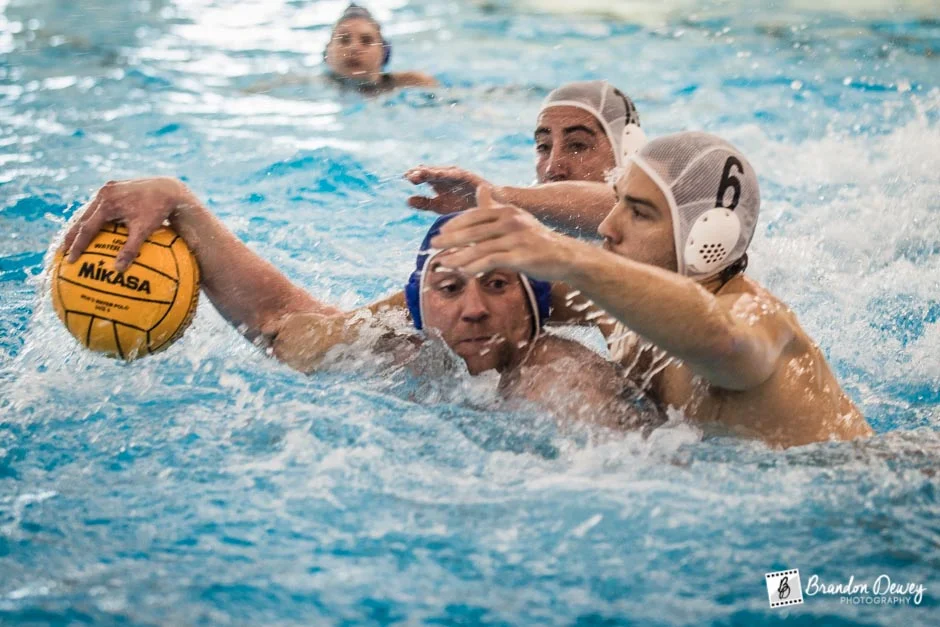 Wetskins v. Arlington