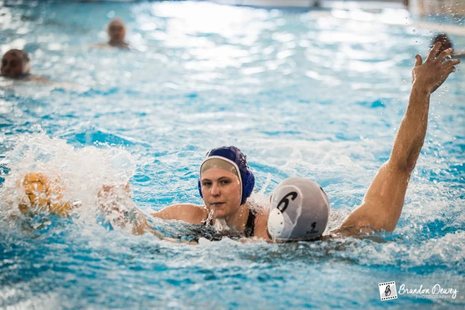 Wetskins v. Arlington