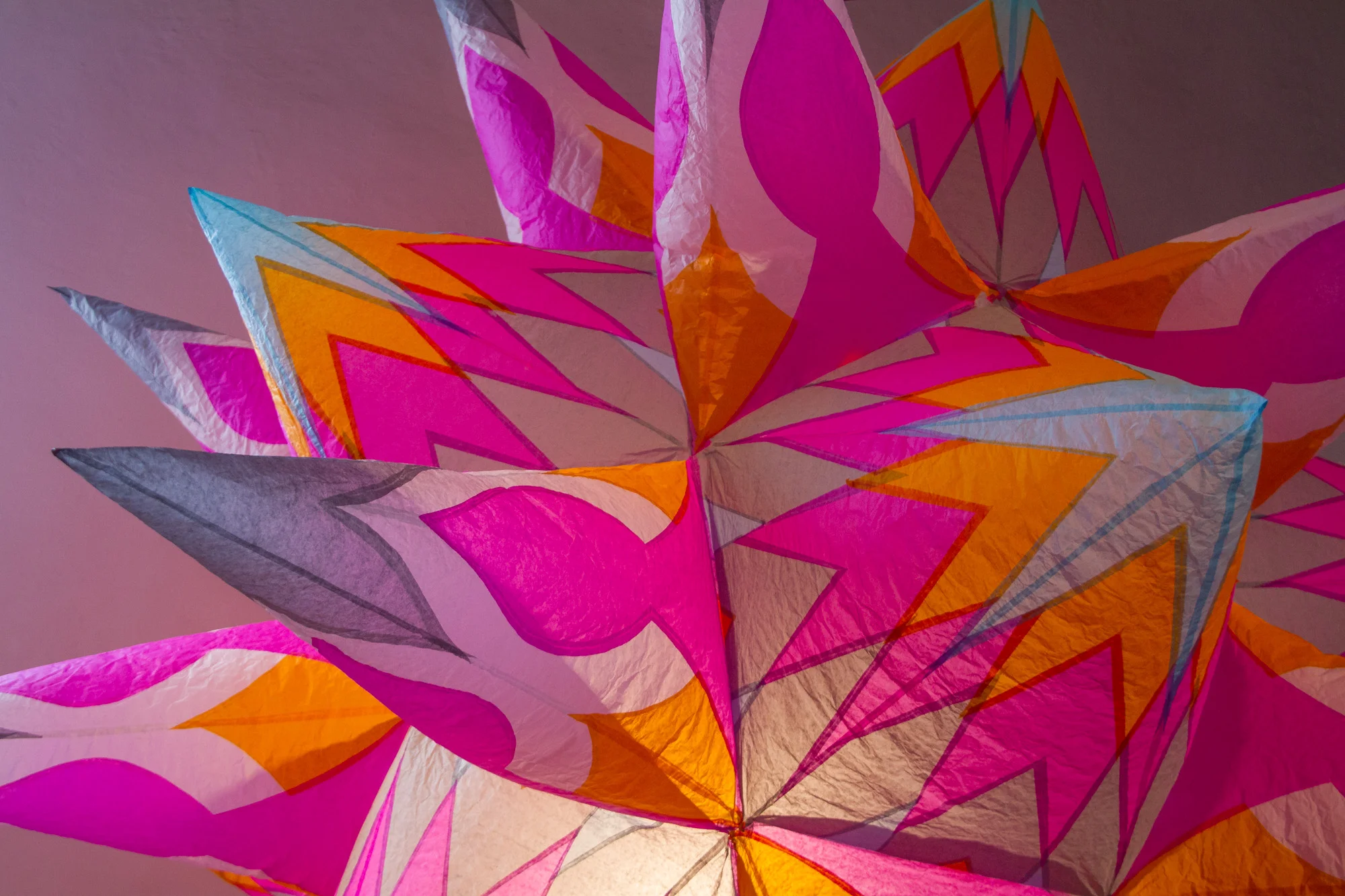  Pink Pincushion CantoyaFest: Pátzcuaro, Michoacán, Mexico — Sunday, July 23, 2017