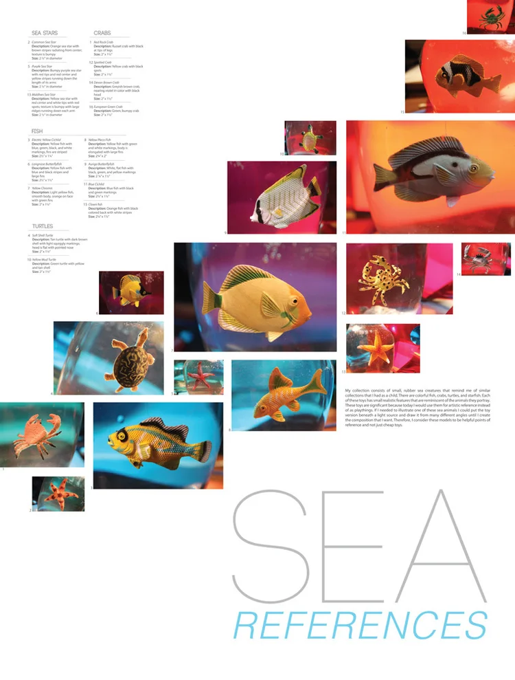 Sea References | School Project