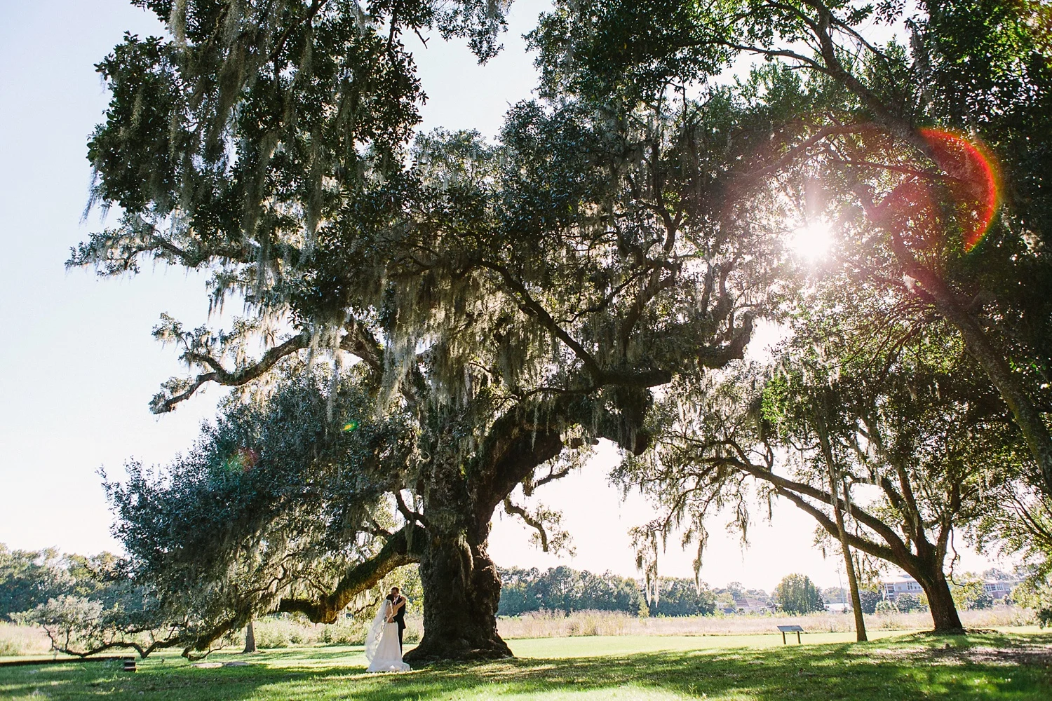 Lindsey_A_Miller_photography_charleston_mcleod_plantation_wedding_row_of_oaks_southern_classic_fall_spanish_moss_historic_home_039.jpg