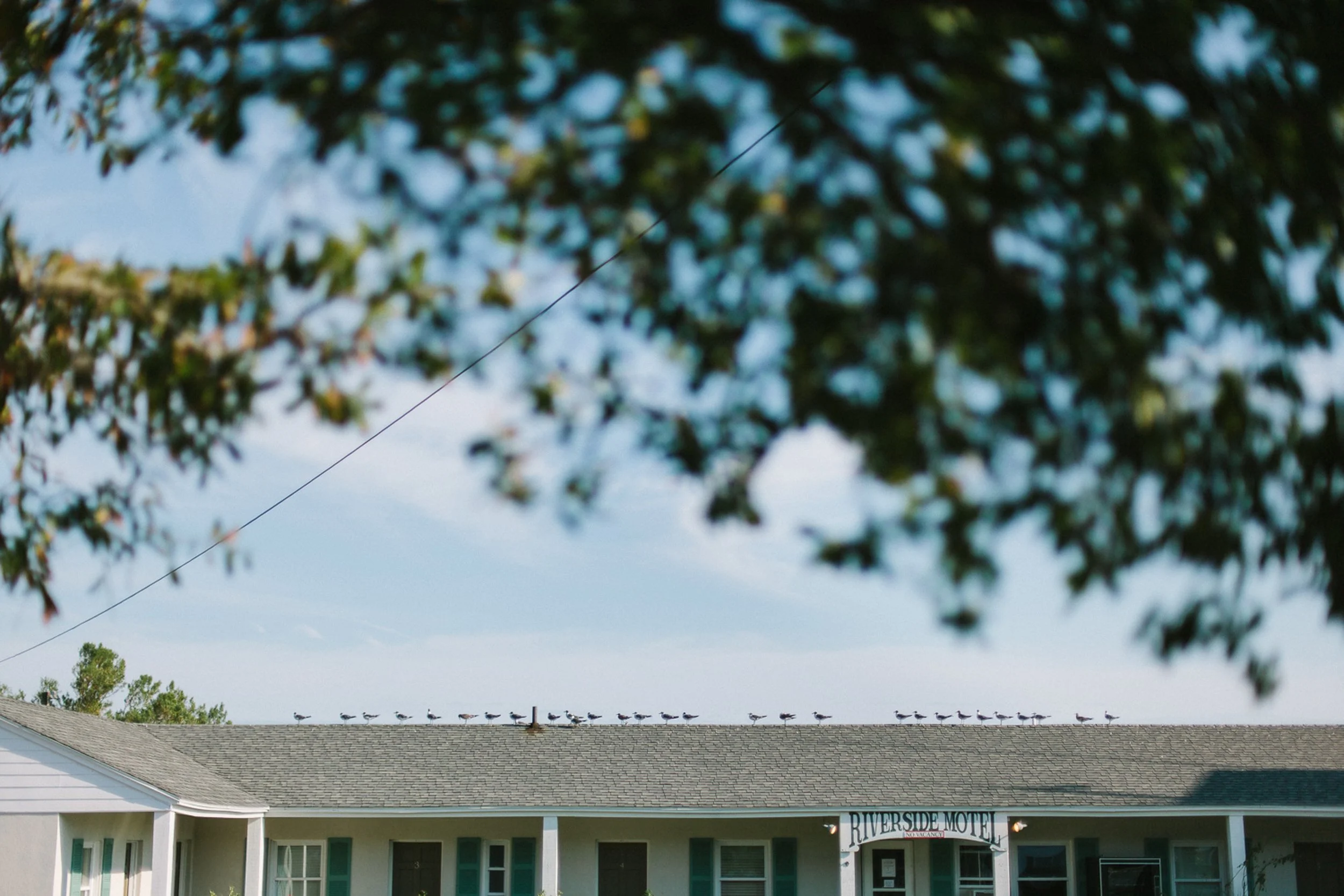 017-summer-2015-07.jpg.JPG