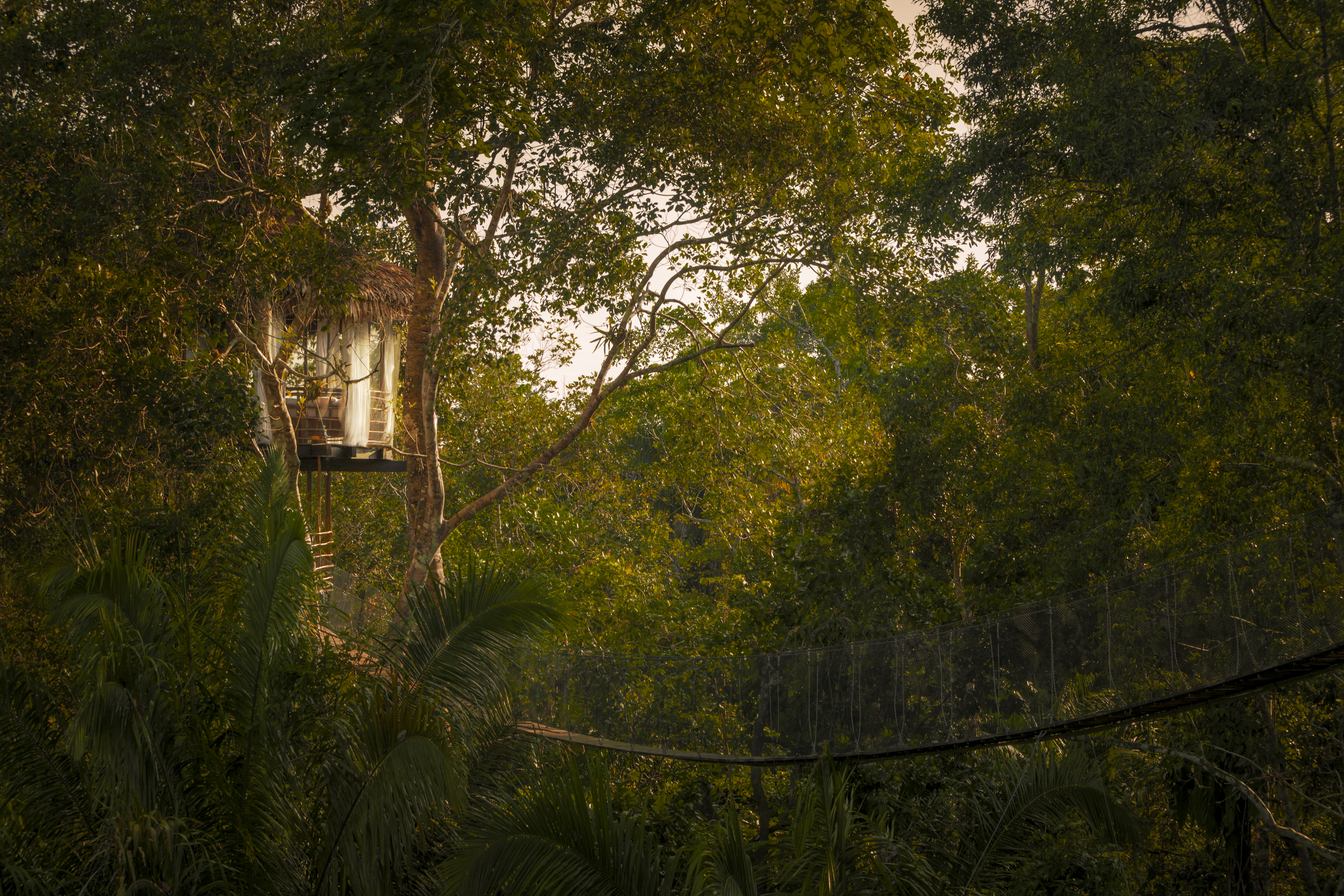 Treehouse_Bungalow_Exterior-7c.jpg