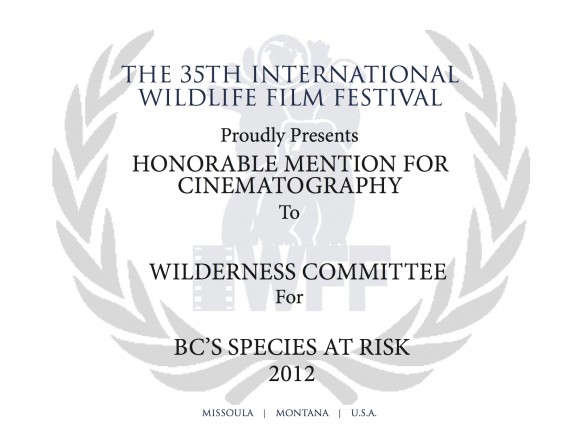 Species-at-Risk1-580x447.jpg
