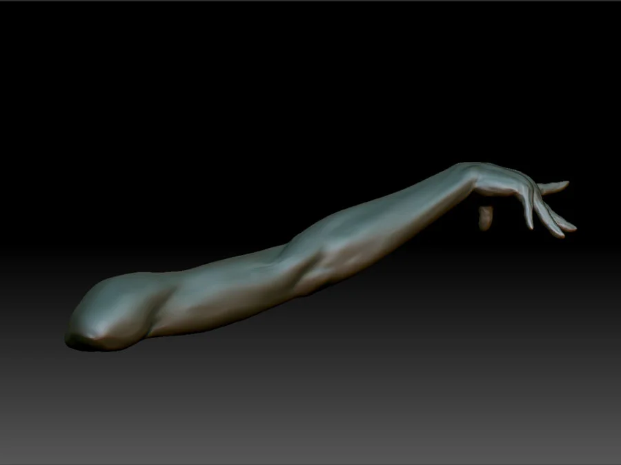 female_arm_study.jpg