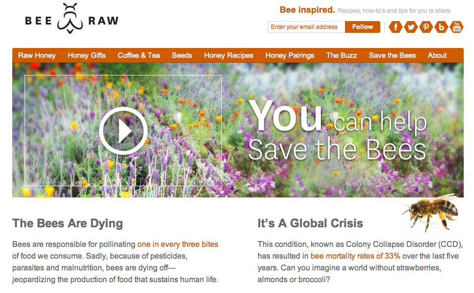 Save the Bees landing page photography
