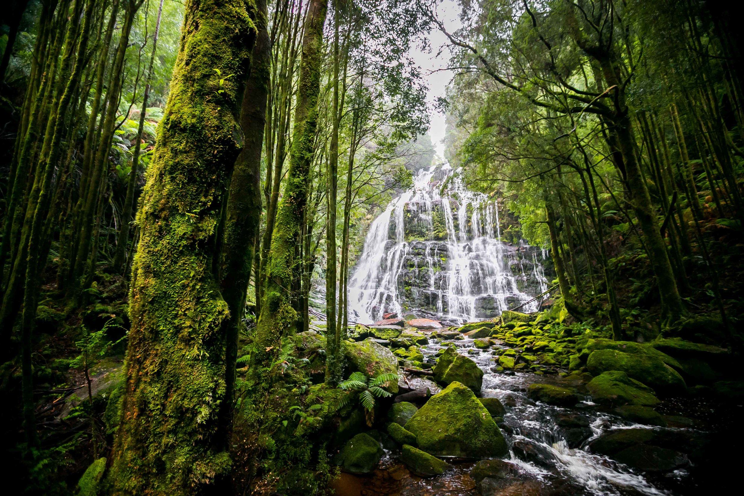 Tasmania