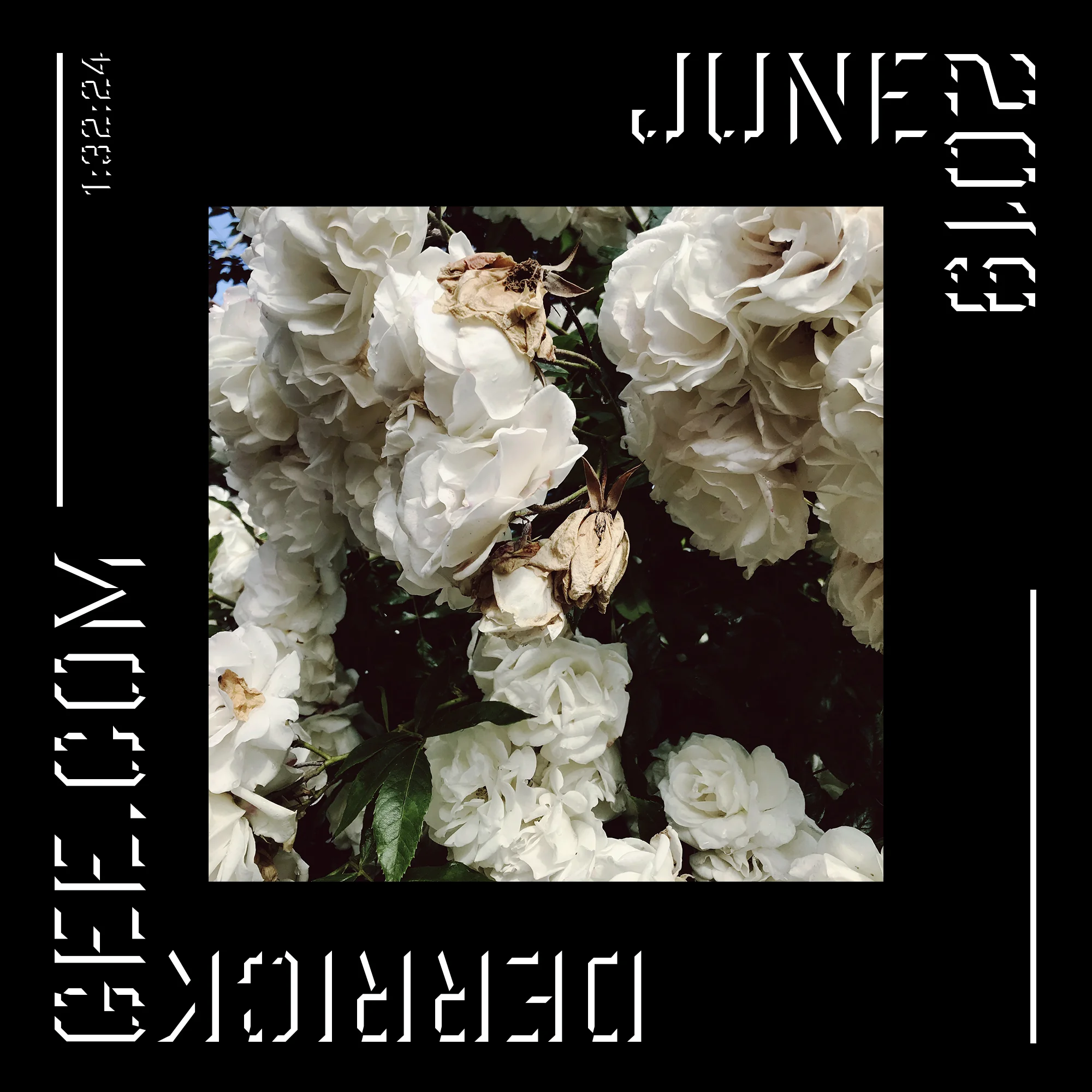 2019_June.jpg