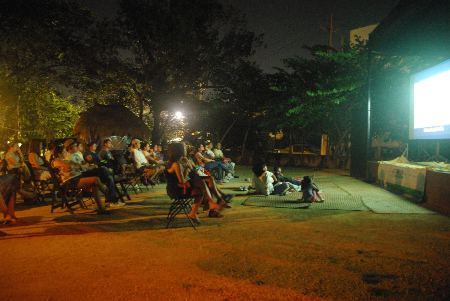 Proyección "Pequeñas Flores Rojas"