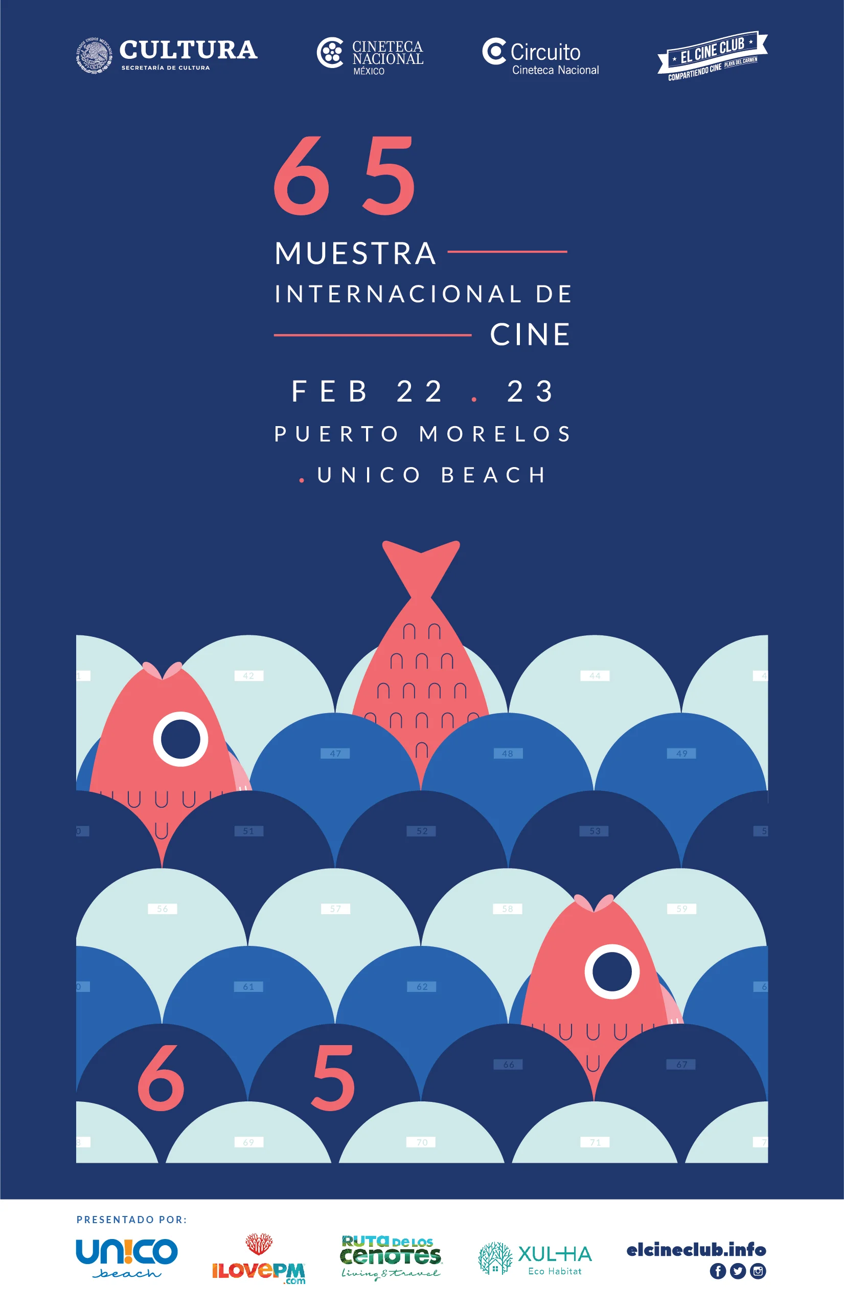 65MIC_PuertoMorelos-04.jpg