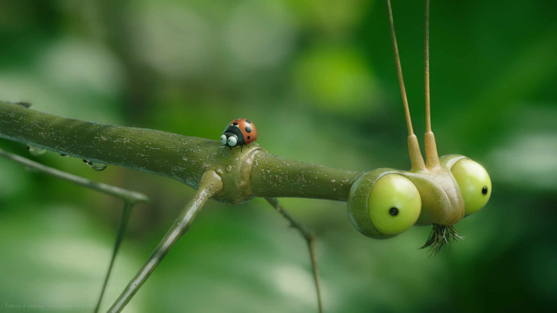 Minúsculos