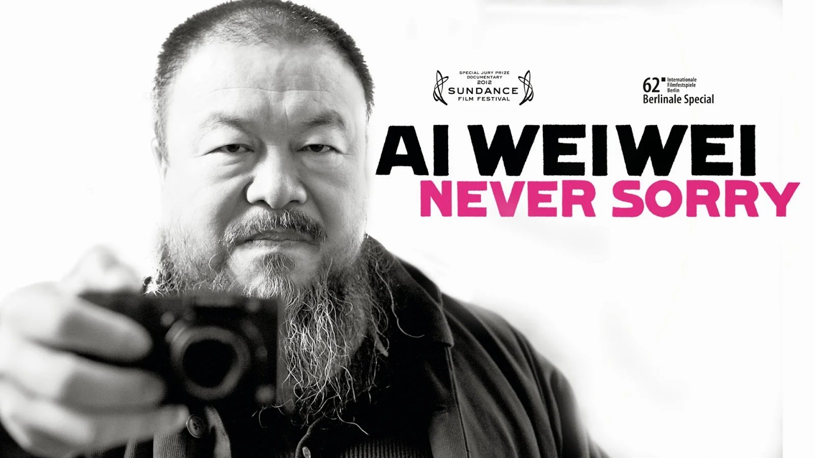 Ai Weiwei: Never Sorry