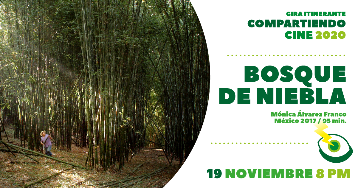 Bosque de Niebla / Compartiendo Cine 2020 