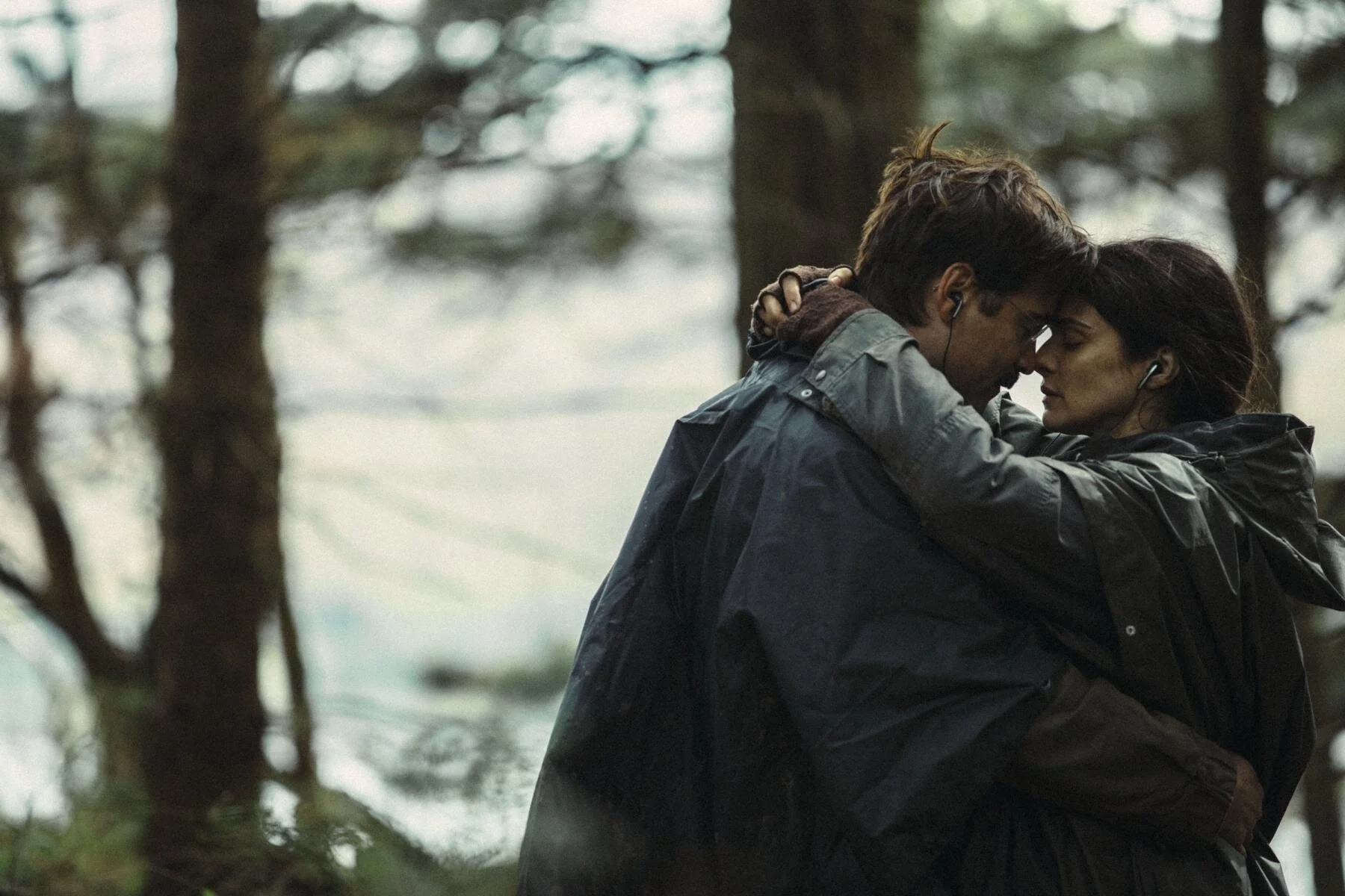The Lobster / Noche de Cine en Mercado 30