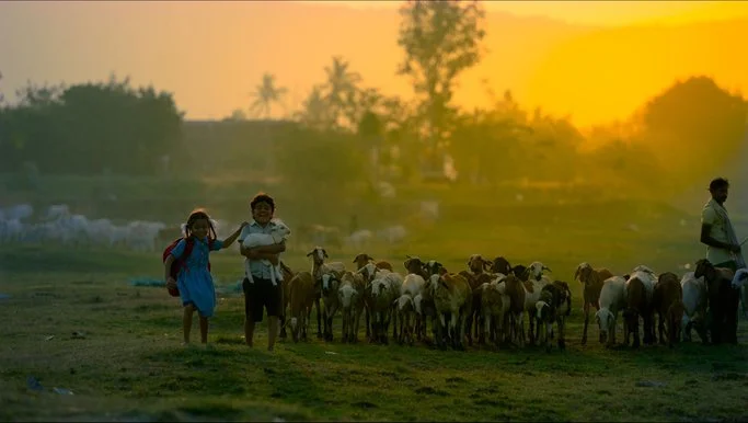 Bishwa / Cine Infantil 