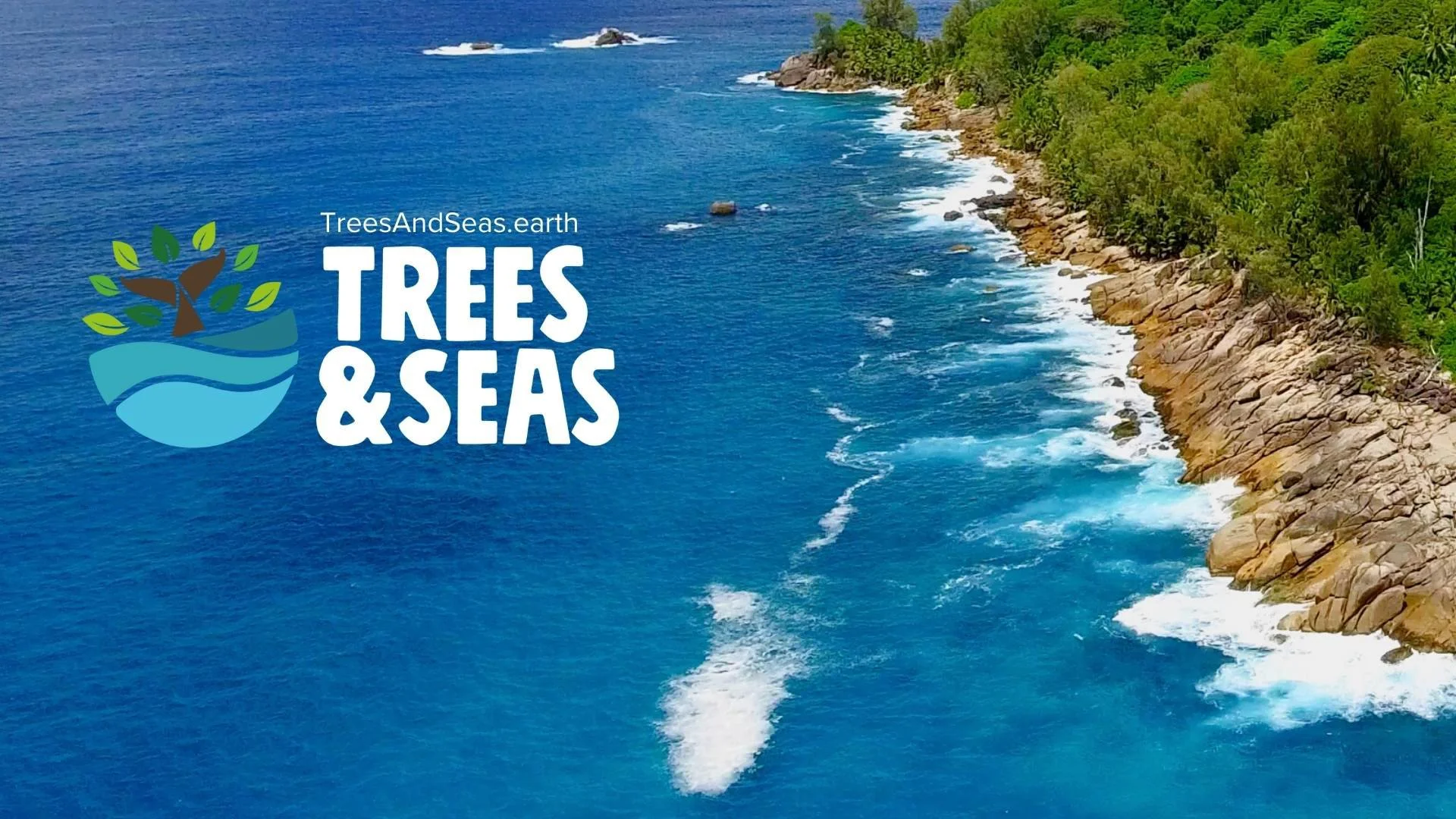 Proyección especial / Trees &amp; Seas