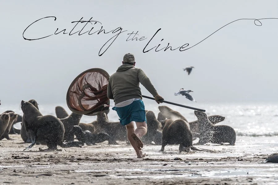 Cutting the line