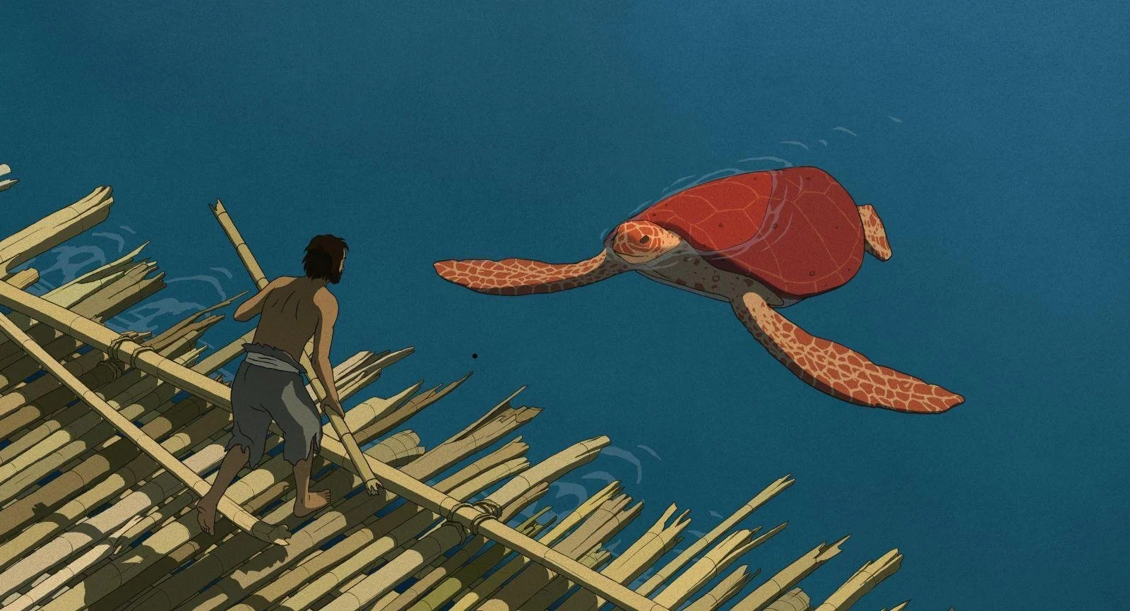 La Tortuja Roja