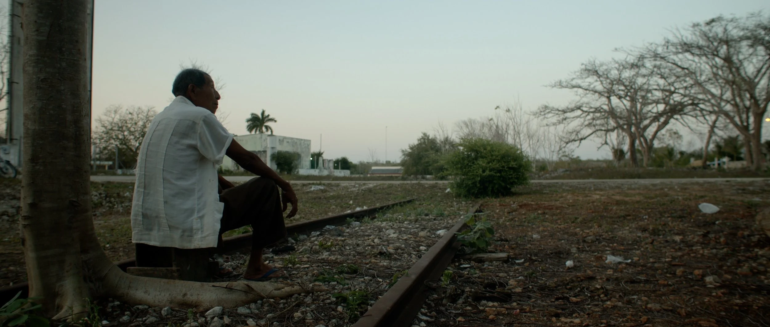 El tren y la península