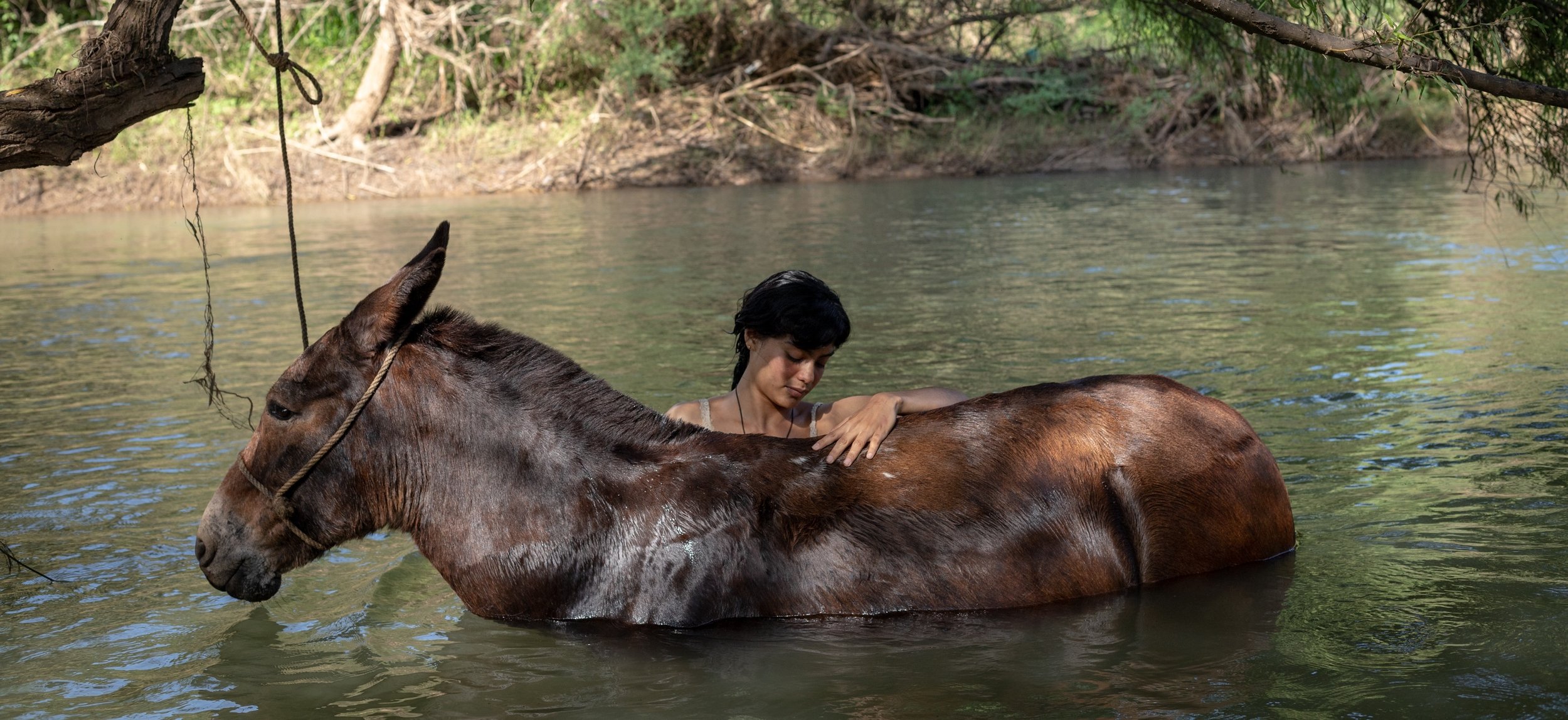 La Arriera / Estreno 