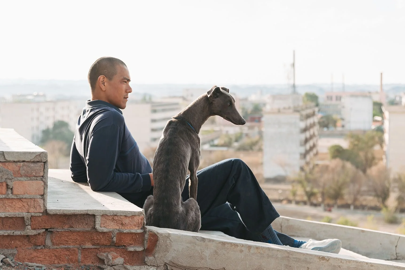 Black Dog / Estreno