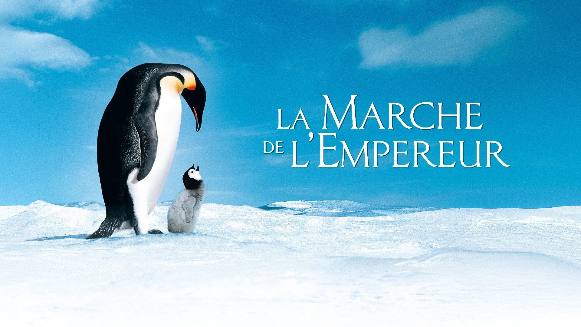 La marcha de los pingüinos