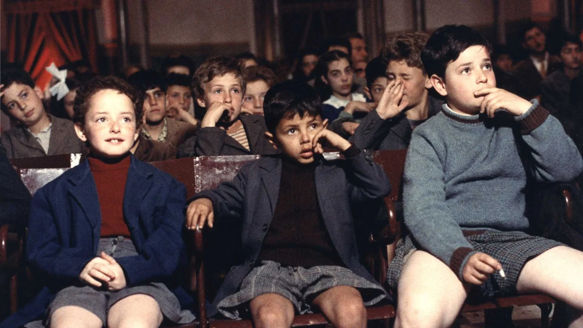 Cinema Paradiso / Compartiendo Cine Mérida