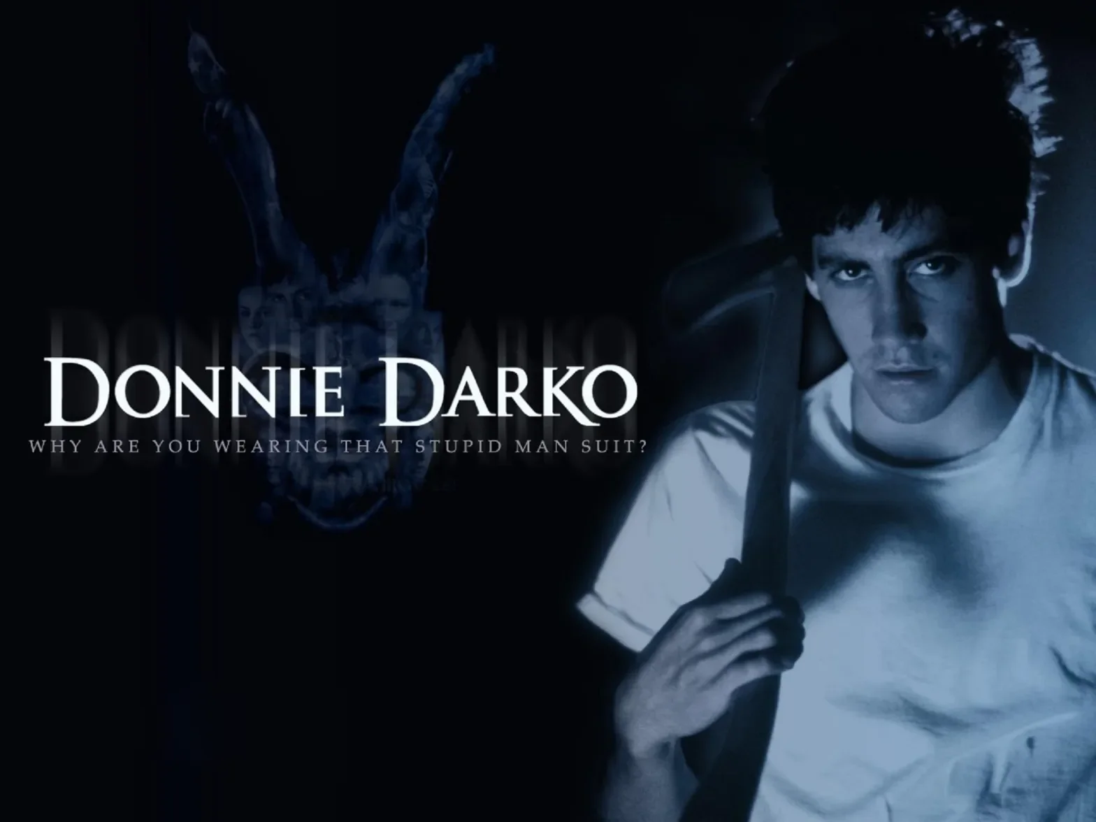 Donnie Darko / 25 Aniversario