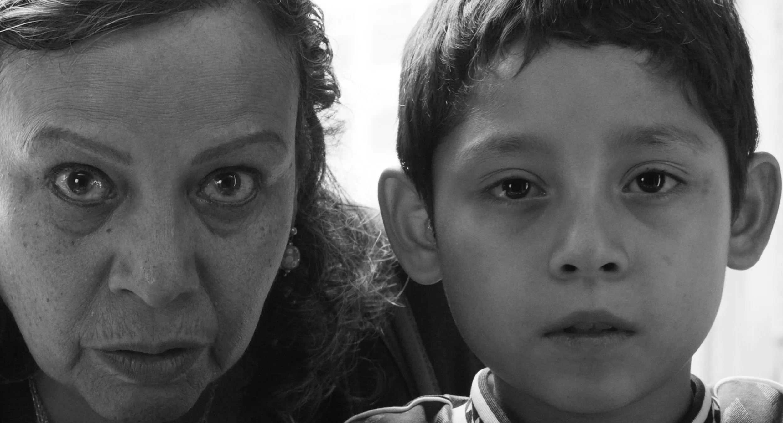 Moscas / Compartiendo Cine Mérida