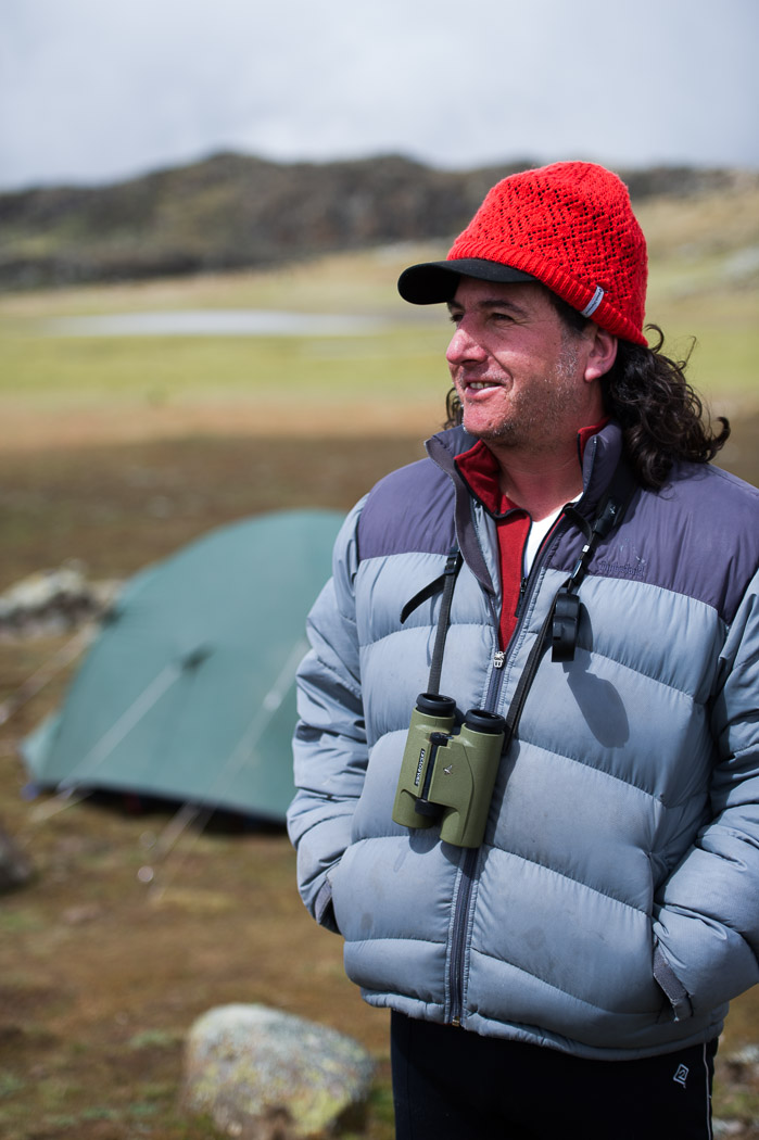Conservationists such as Professor Claudio Sillero are working to protect the wolves. "These wolves are almost unknown and yet they are three times rarer than giant pandas" he says. Prof. Sillero is a zoology professor at Oxford University and founder & director of the Ethiopian Wolf Conservation Programme.