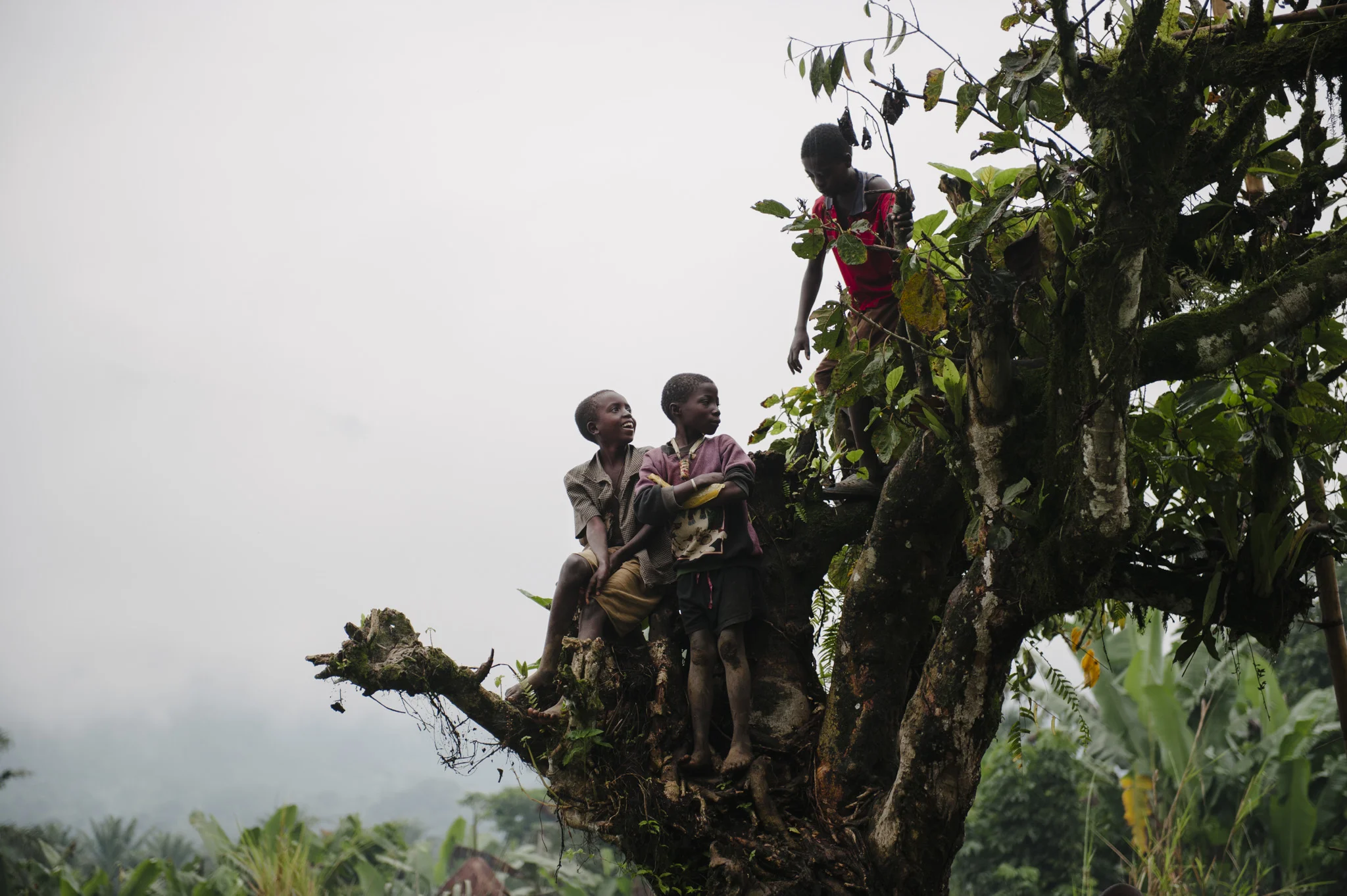 12_PEM_COD_Masisi_3983.jpg