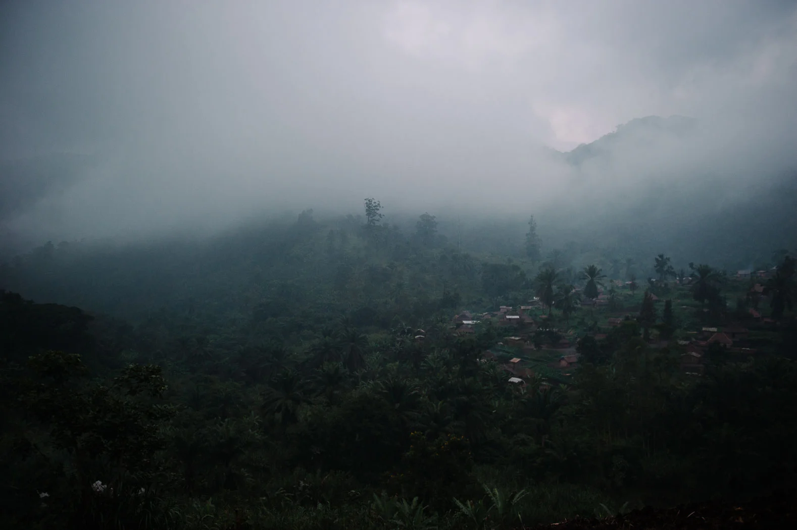 See the Real Impact of War in the Democratic Republic of Congo