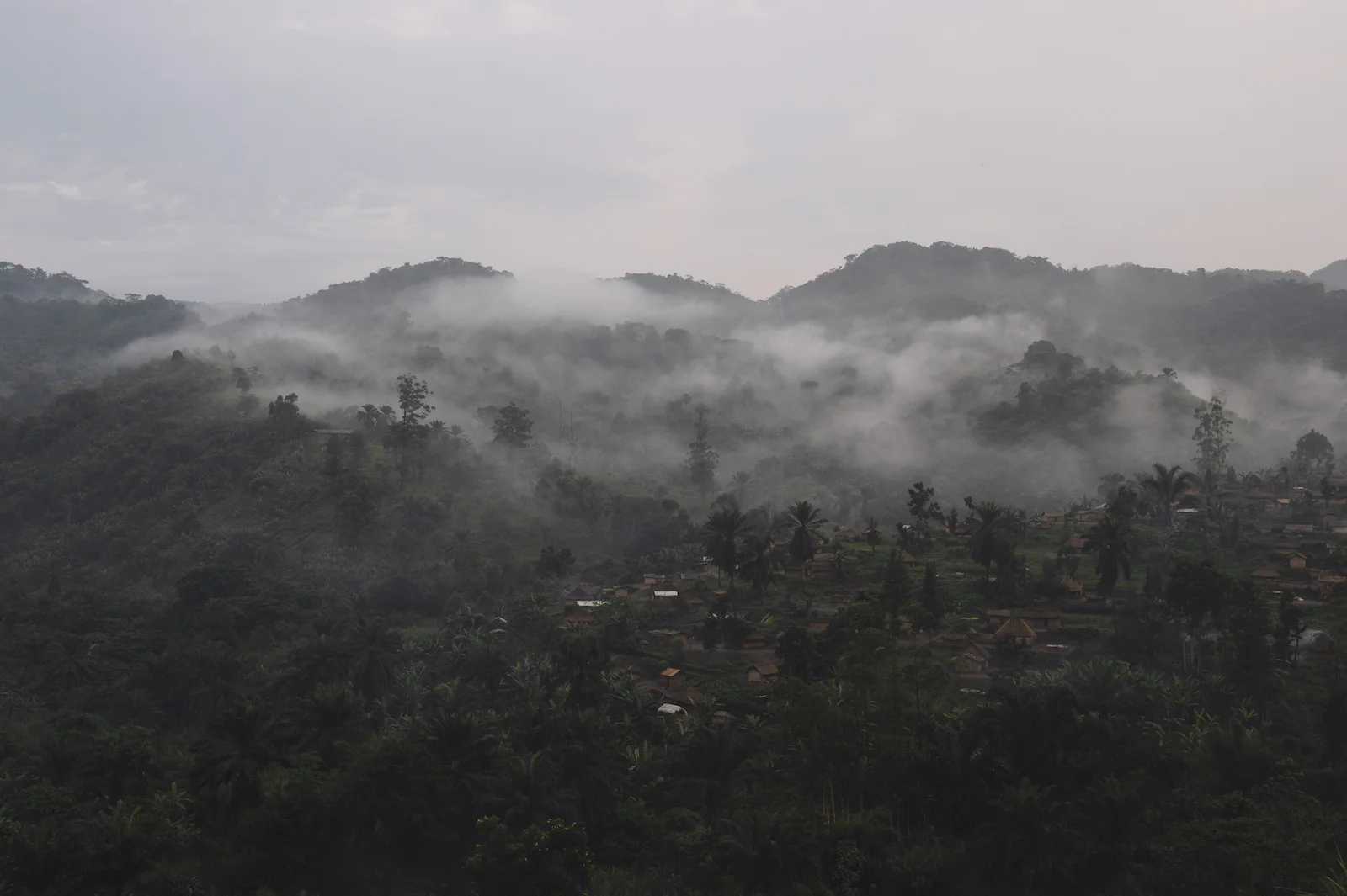 Into the bush: Vaccinating a remote community