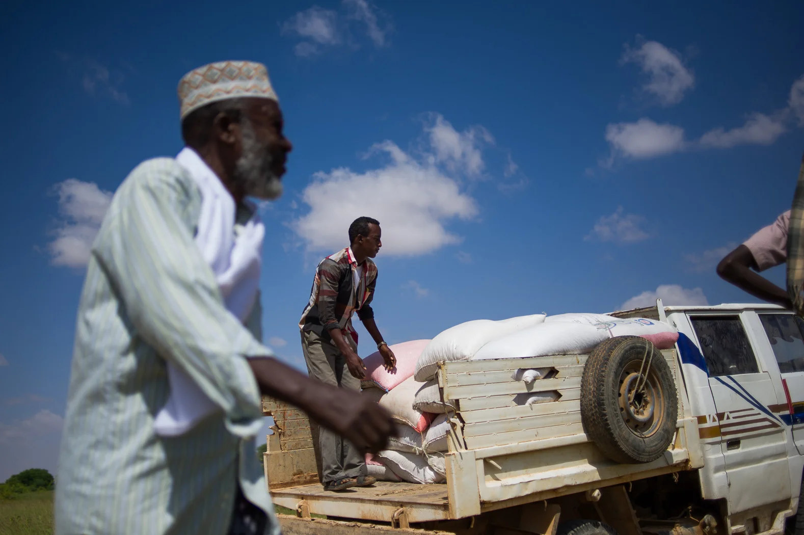 A humanitarian seed distribution