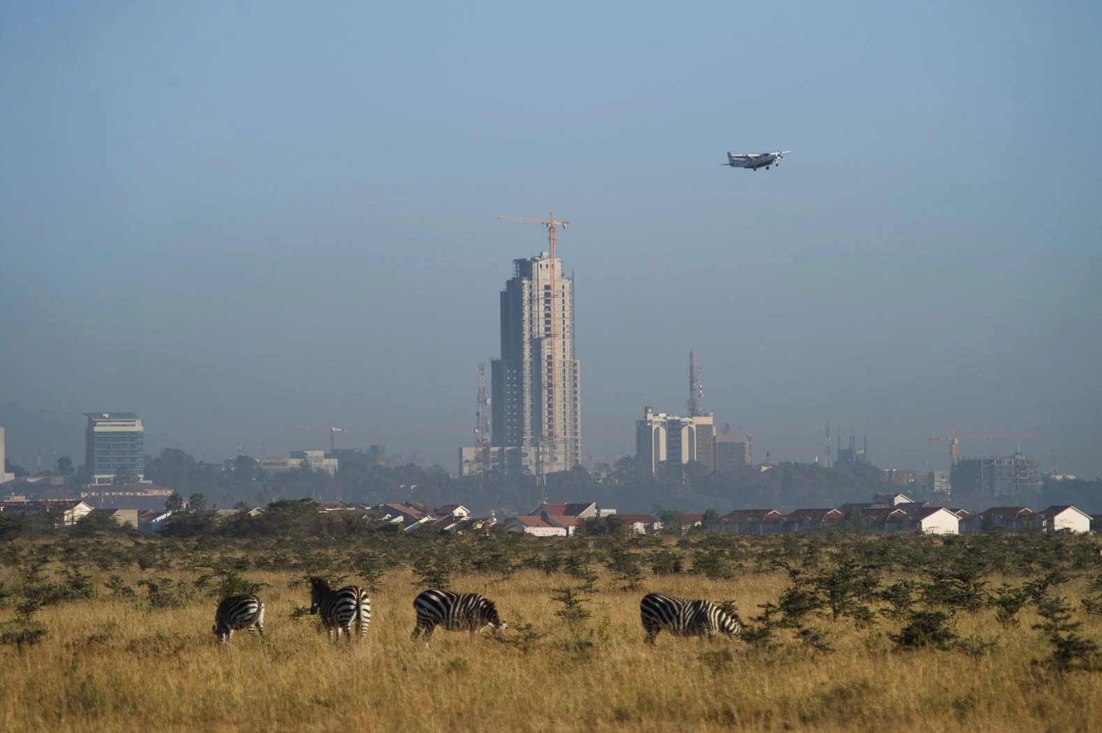 Au Kenya, le parc national de Nairobi au bord de l’asphyxie