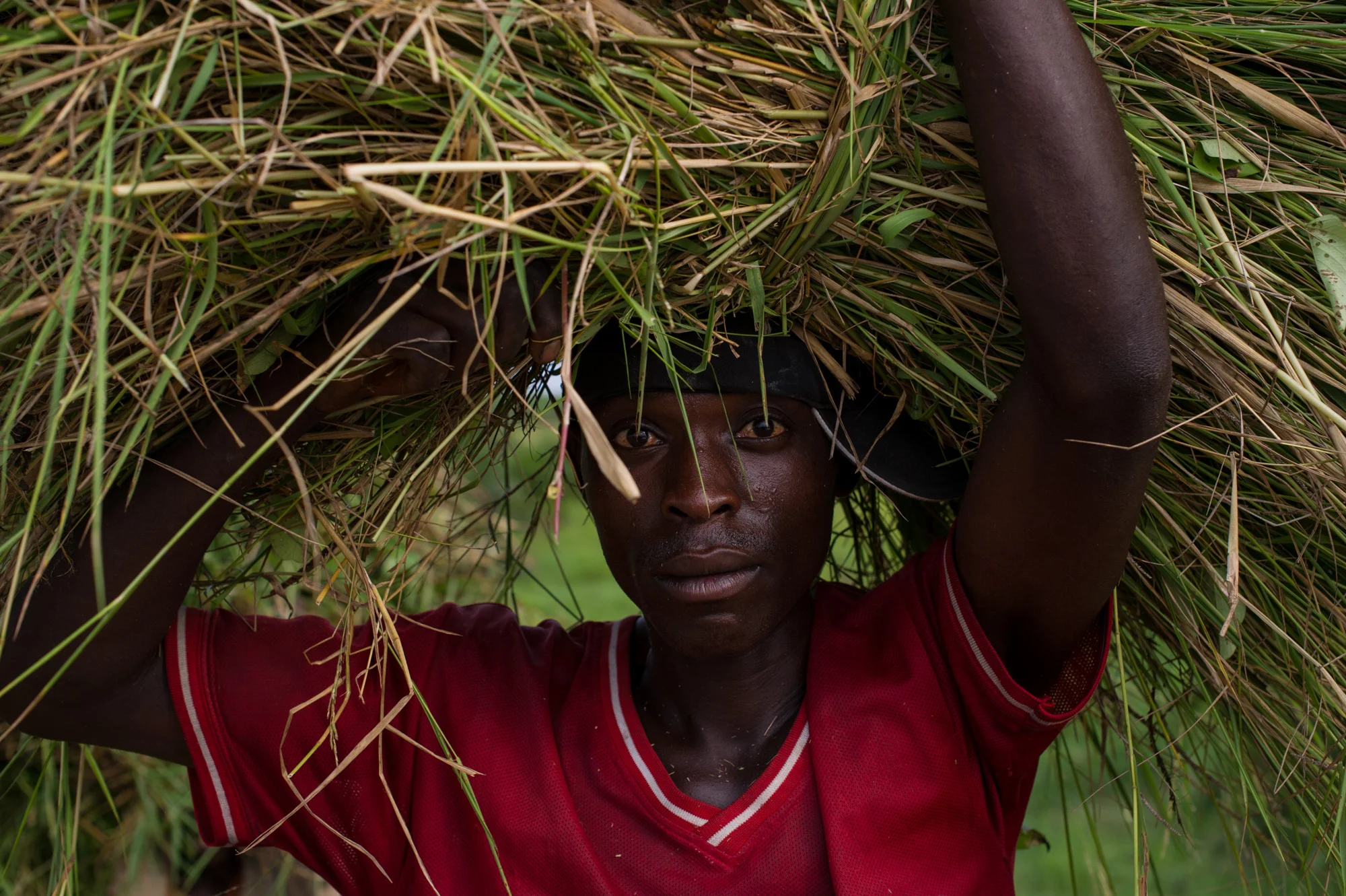 23_PEM_BDI_Burundi_2008.jpg
