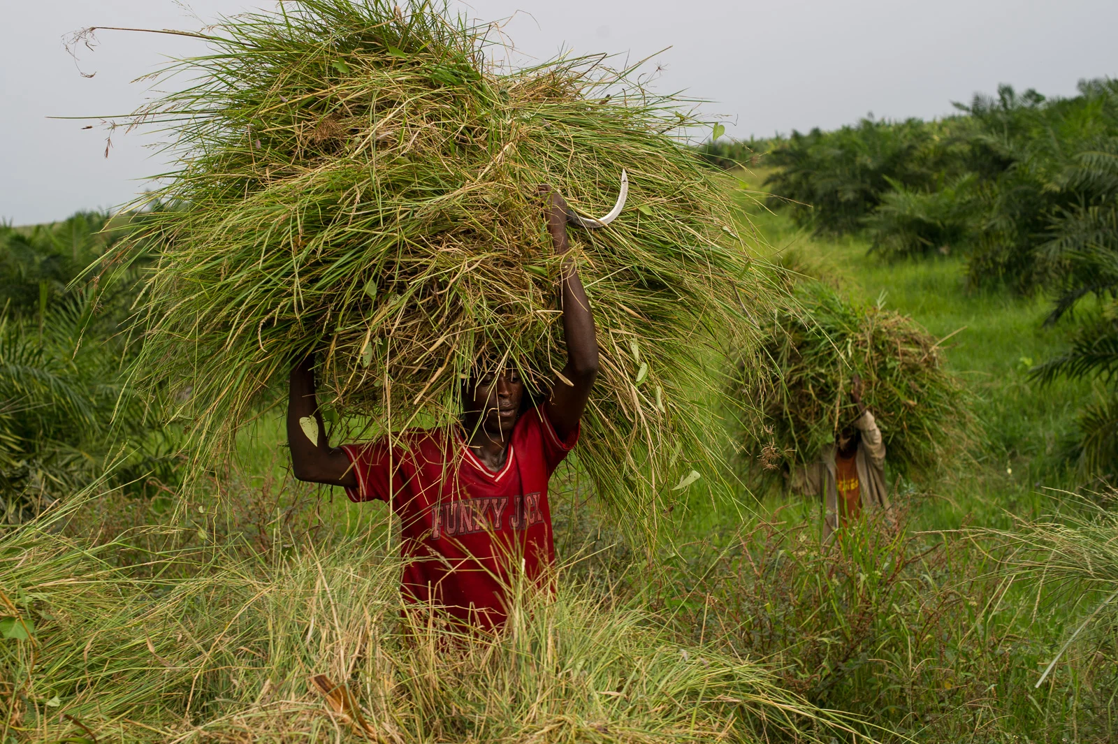 PEM_BDI_Burundi_2006.jpg
